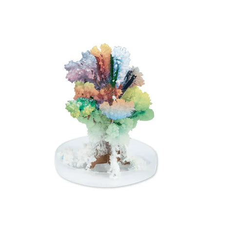 Rainbow crystal science kit with colorful crystals on a white display base