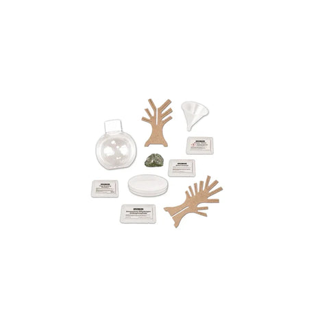 Crystal science kit with tree shapes, rock, funnel, petri dish, and experiment packets.
