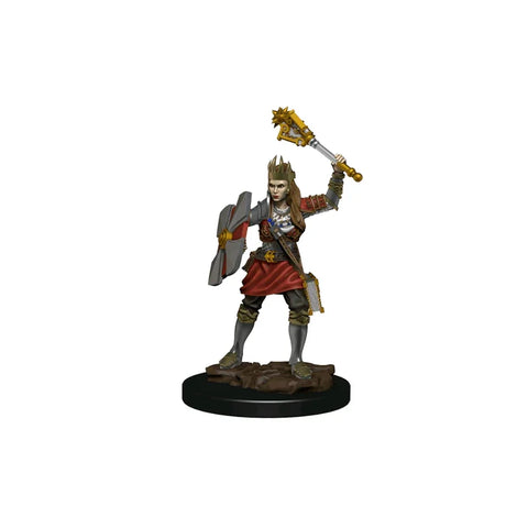 Painted female human cleric miniature with shield and mace, fantasy tabletop figure